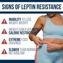 dr-westin-childs-leptin-resistance-rx-na-3.jpg