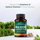 sandhuherbals-sea-moss-capsules-with-bla-6.jpg