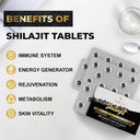 30000-mg-shilajit-tablets-100-shilajit-p-5.jpg