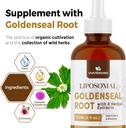 golden-seal-tincture-3000mg---goldenseal-4.jpg