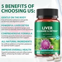 liver-cleanse-detox-repair---health-live-2.jpg