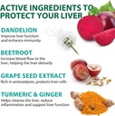 liver-cleanse-detox-repair---health-live-4.jpg