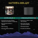 satthwa-pure-shilajit-from-the-himalayas-4.jpg