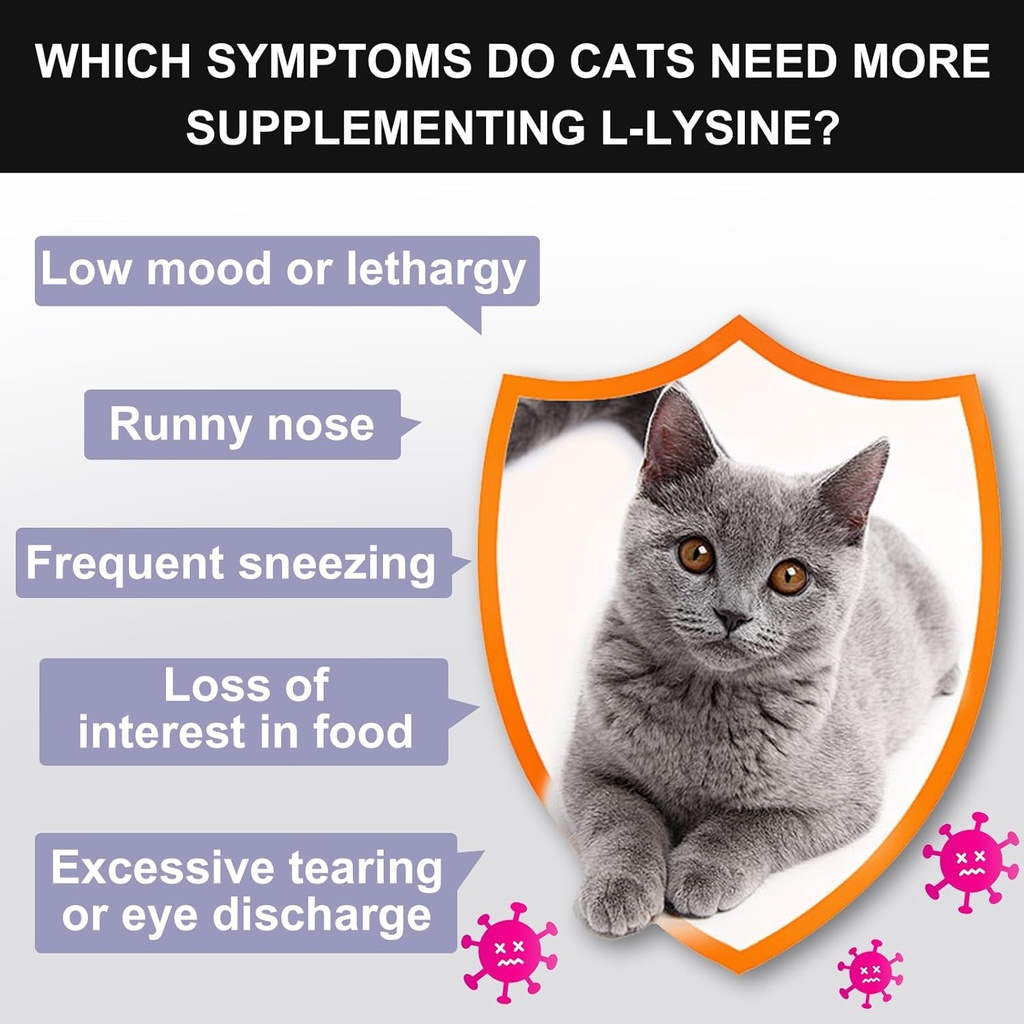 l-lysine-powder-for-cats-immune-support--4.jpg