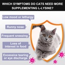l-lysine-powder-for-cats-immune-support--4.jpg