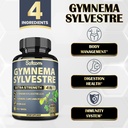 satoomi-pure-gymnema-sylvestre-capsules--3.jpg