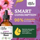 wild-organic-echinacea-drops---immune-su-4.jpg