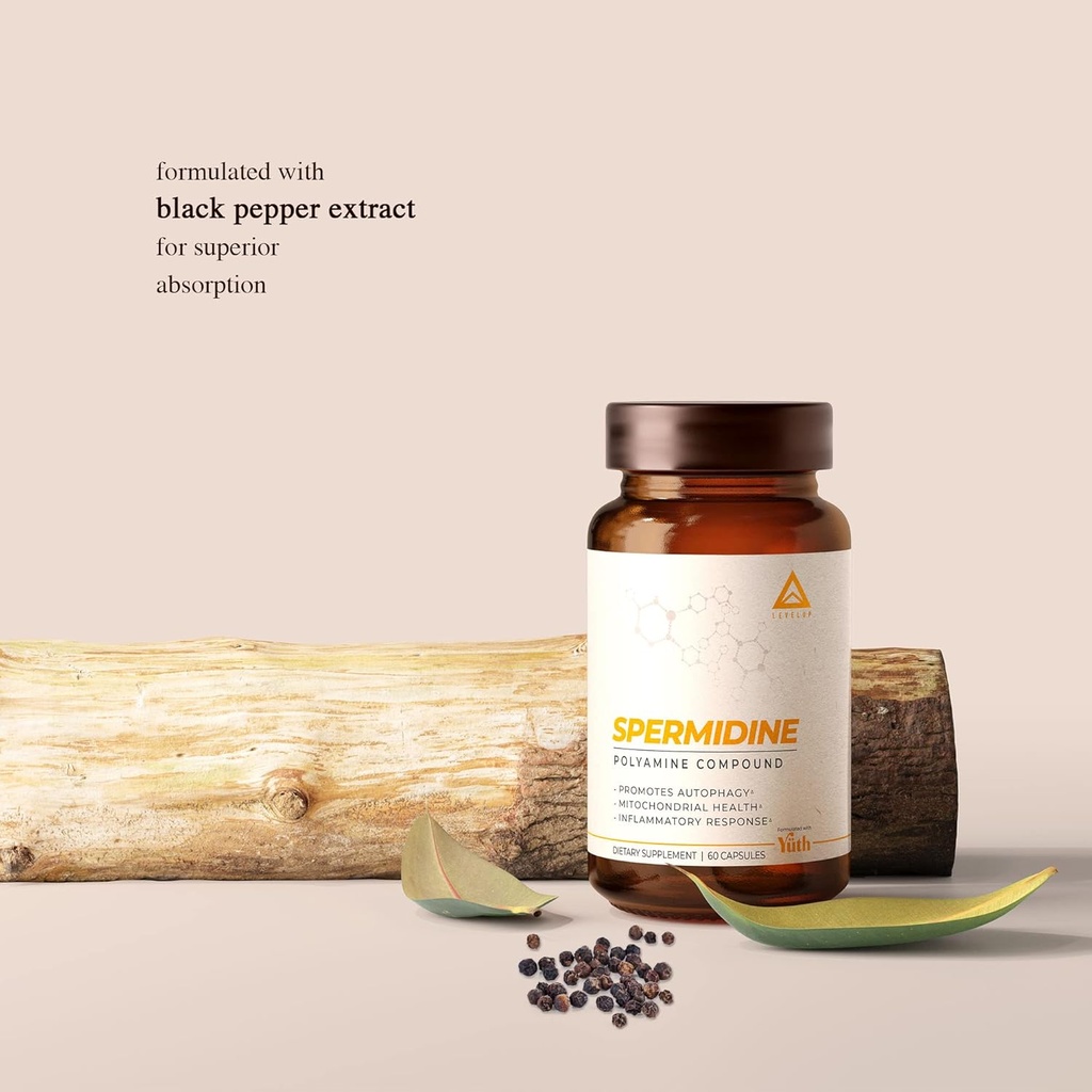 levelup-spermidine-capsules-most-researc-5.jpg