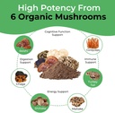 cancer-sciences-organic-mushroom-supplem-3.jpg