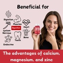 calcium-gummies-magnesium-zinc-with-vita-2.jpg
