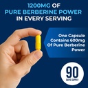 we-like-vitamins-berberine-supplement120-5.jpg