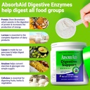 absorbaid-digestive-enzymes-100-grams-pr-6.jpg