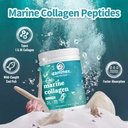 zammex-marine-collagen-peptides-powder-u-5.jpg