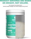 zammex-marine-collagen-peptides-powder-u-6.jpg