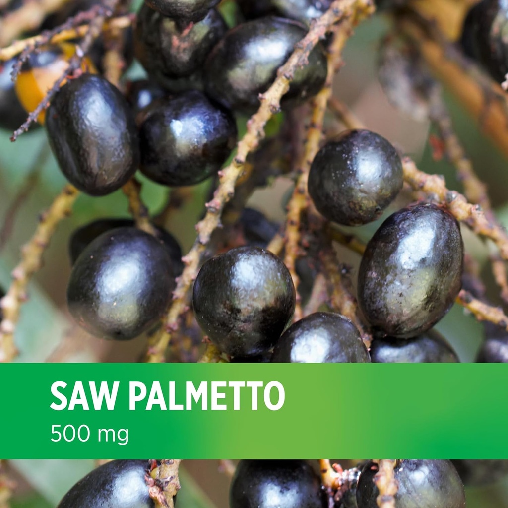 doctors-preferred-saw-palmetto-for-men-a-6.jpg
