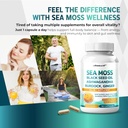 sea-moss-supplement---16-in-1-natural-bl-2.jpg
