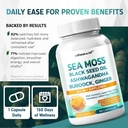sea-moss-supplement---16-in-1-natural-bl-6.jpg