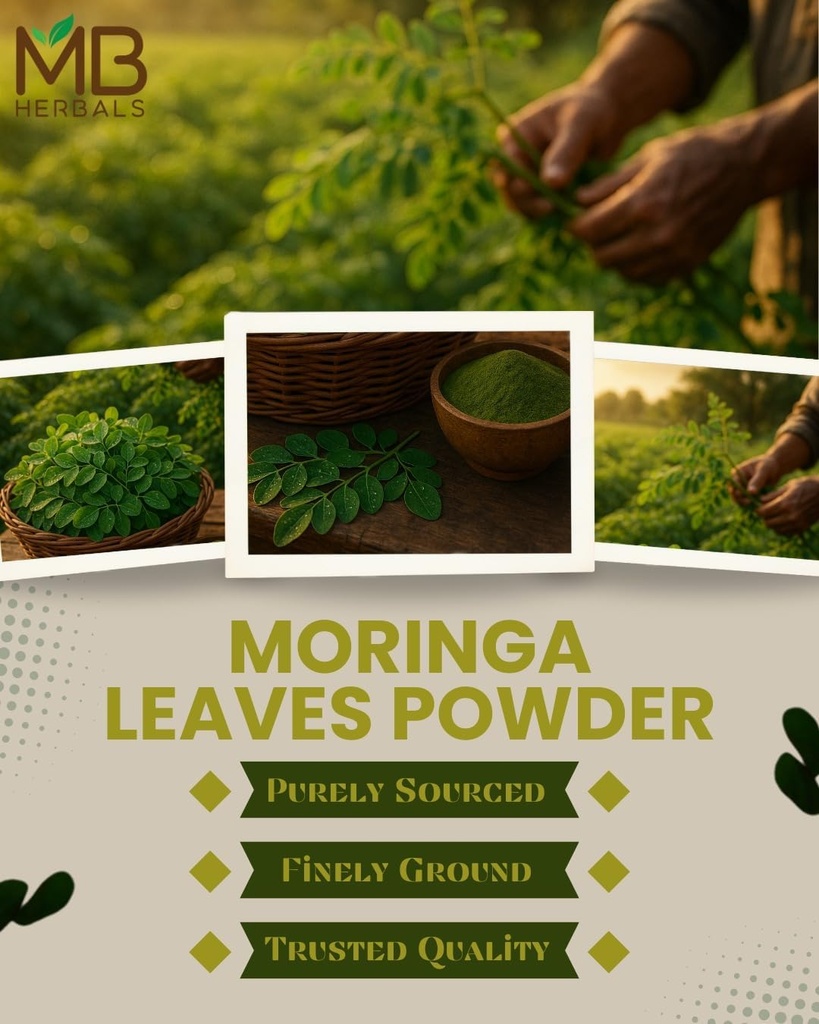 mb-herbals-moringa-leaf-powder-8-oz-227g-4.jpg