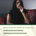 neviss-mullein-gummies-for-lungs-organic-6.jpg