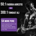 2400mg-fadogia-agrestis-tongkat-ali-supp-4.jpg