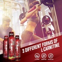 isatori-l-carnitine-ls3-lemon-lime-3000m-2.jpg