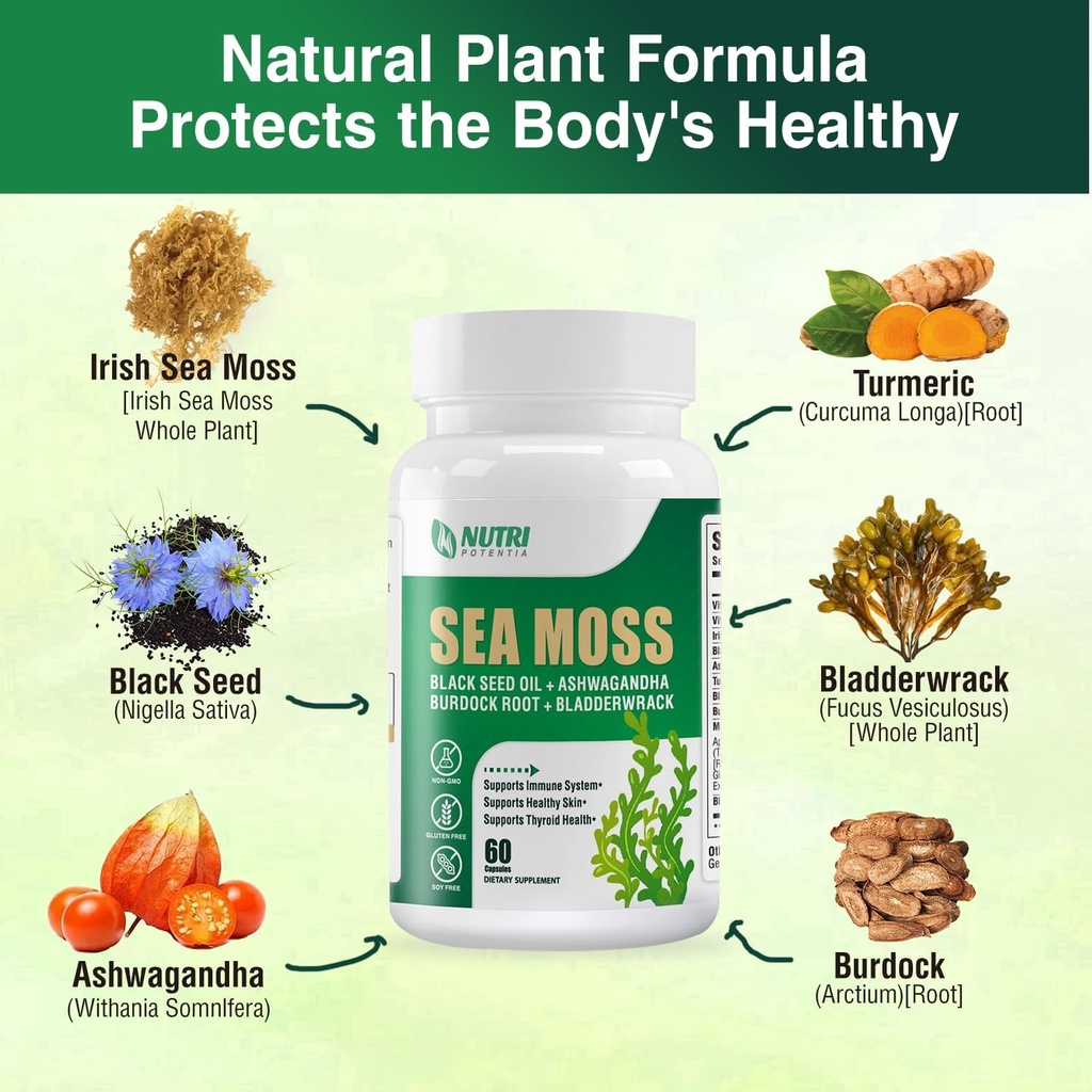 sea-moss-black-seed-oil-ashwagandha-ging-3.jpg