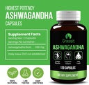 grassit-ashwagandha-supplement-500-mg120-3.jpg