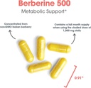 allergy-research-group-berberine-500mg-s-5.jpg