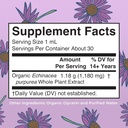 maryruth-organics-echinacea-purpurea-liq-2.jpg