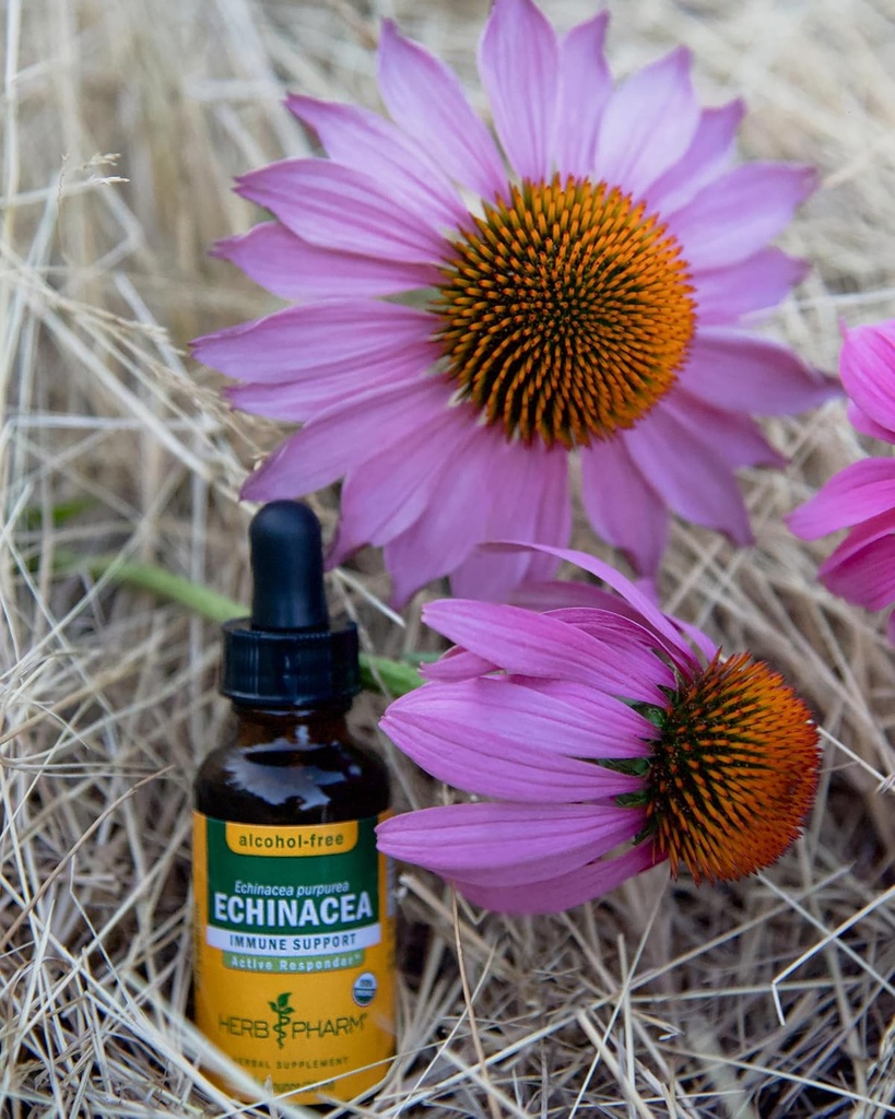 herb-pharm-certified-organic-echinacea-r-4.jpg