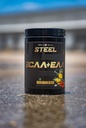 steel-supplements-high-performance-bcaa--3.jpg
