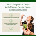 go-nutrients-intestinal-edge-gut-cleanse-6.jpg