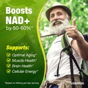 nad-resveratrol-supplement-liposomal-res-2.jpg