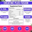 adndale-creatine-gummies-for-women-men-5-4.jpg