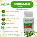 bhringraj-capsules-500-mg-60-count-eclip-5.jpg