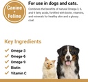 vet-classics-omega-3-6-9-pet-skin-coat-d-5.jpg