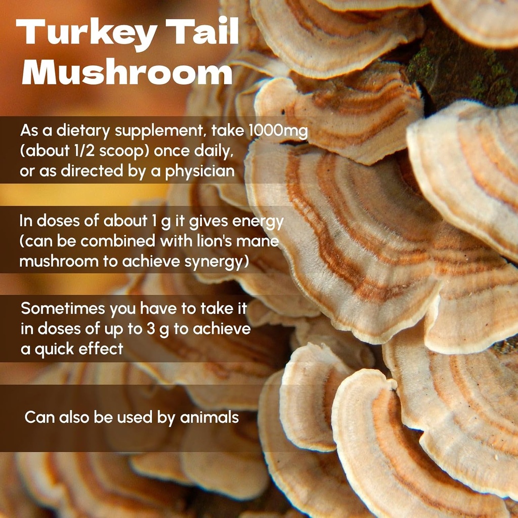 turkey-tail-mushroom-powder-8-oz---natur-4.jpg