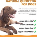 quercetin-for-dogs-dog-quercetin-liquid--4.jpg