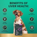 vetriscience-same-liver-health-tablets-2-6.jpg