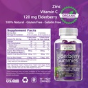 elderberry-queen-organic-elderberry-gumm-3.jpg