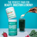 gobiotix-super-greens-collagen-bundle----2.jpg