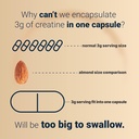 creatine-monohydrate-capsules-3000mg-per-4.jpg