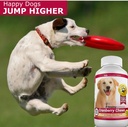 amazing-cranberry-for-dogs-pet-antioxida-3.jpg