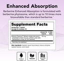 theralogix-berberine-enhanced-absorption-2.jpg