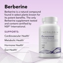 theralogix-berberine-enhanced-absorption-3.jpg