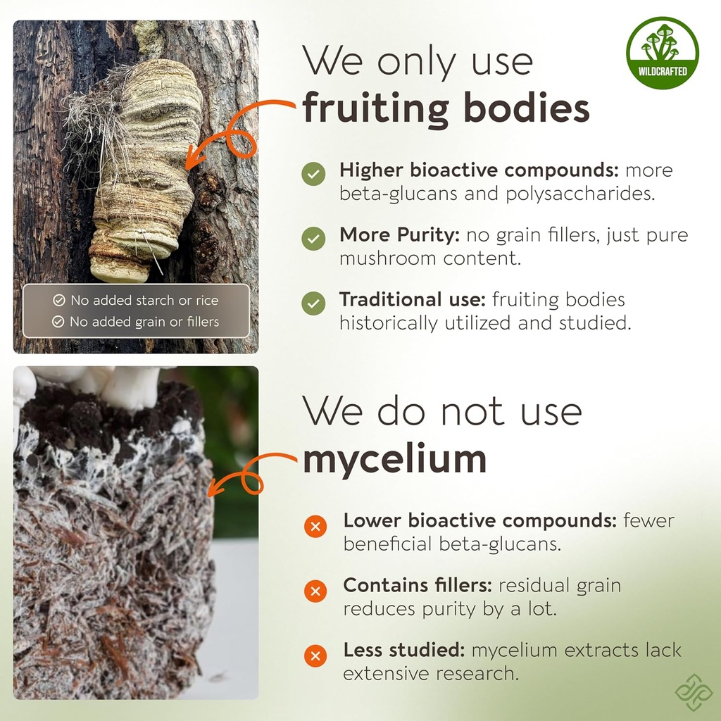 agarikon-mushroom-powder-supplement-100g-3.jpg