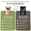 agarikon-mushroom-powder-supplement-100g-5.jpg