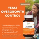 pure-essence-candex-supplement---yeast-o-2.jpg