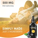 liquid-vitamin-c-drops---500-mg-high-dos-2.jpg