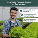 daily-greens-plus-gummies---superfood-bl-3.jpg